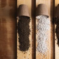 soil mix on wooden boards