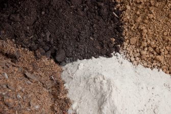 Aroid Soil Mix: Why Should You Use It And How