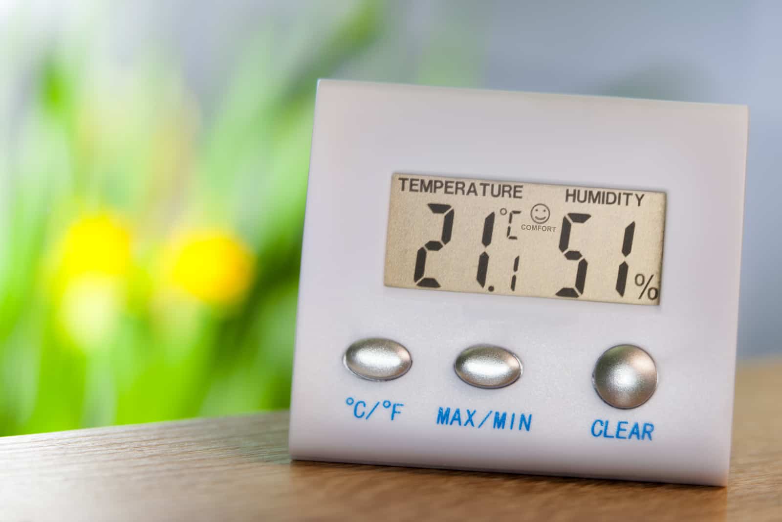 Thermometer on a table with plants