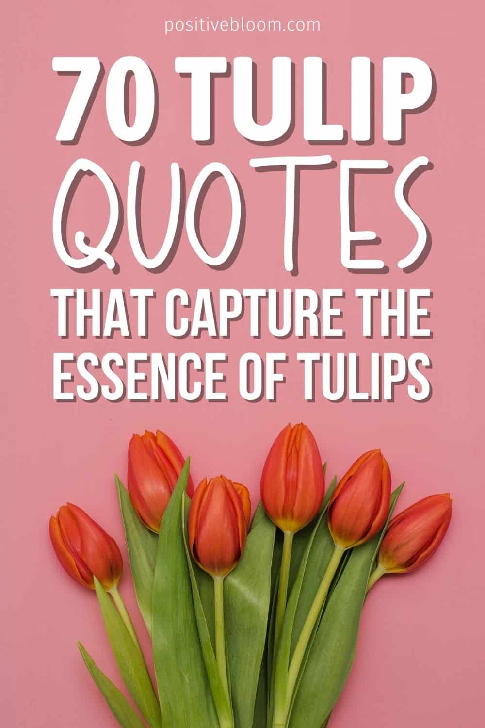 70 Tulip quotes That Capture the Essence of Tulips