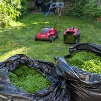 garden lawn with black bag of grass clippings