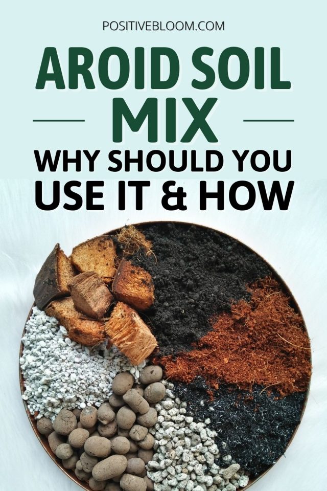 Aroid Soil Mix Why Should You Use It And How