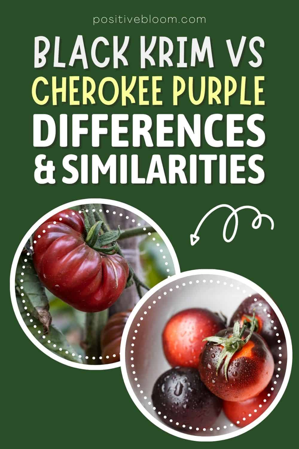 Black Krim vs Cherokee Purple Differences And Similarities