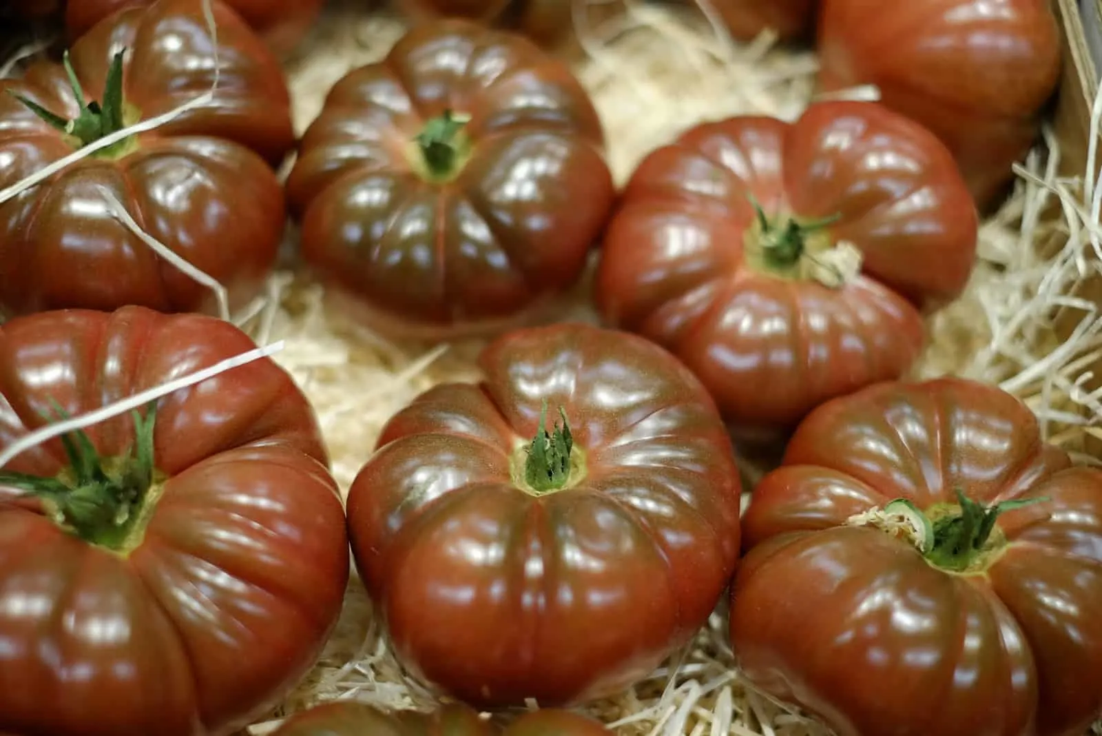 Cherokee Purple tomatos