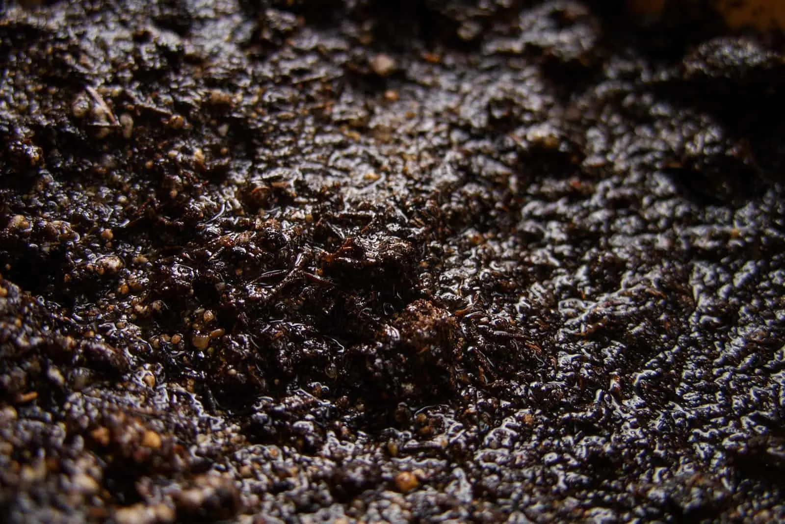 Wet soil in a pot