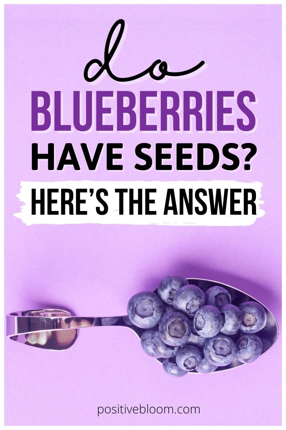 Do Blueberries Have Seeds Here’s The Answer