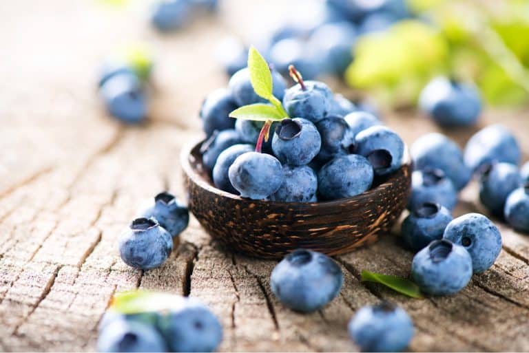 Blueberries in bowl and on table