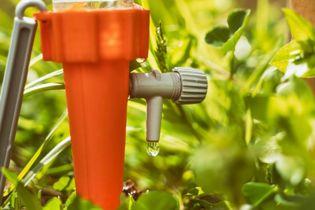 Drip Irrigation System Inside The Pot