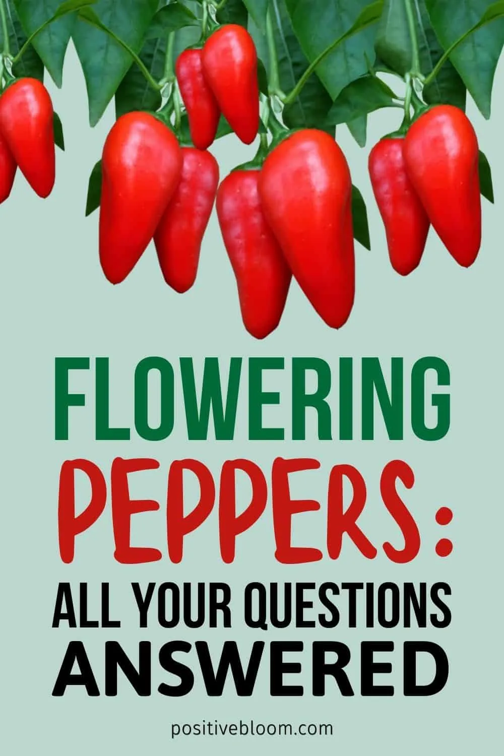 Flowering Peppers: All Your Questions Answered Pinterest