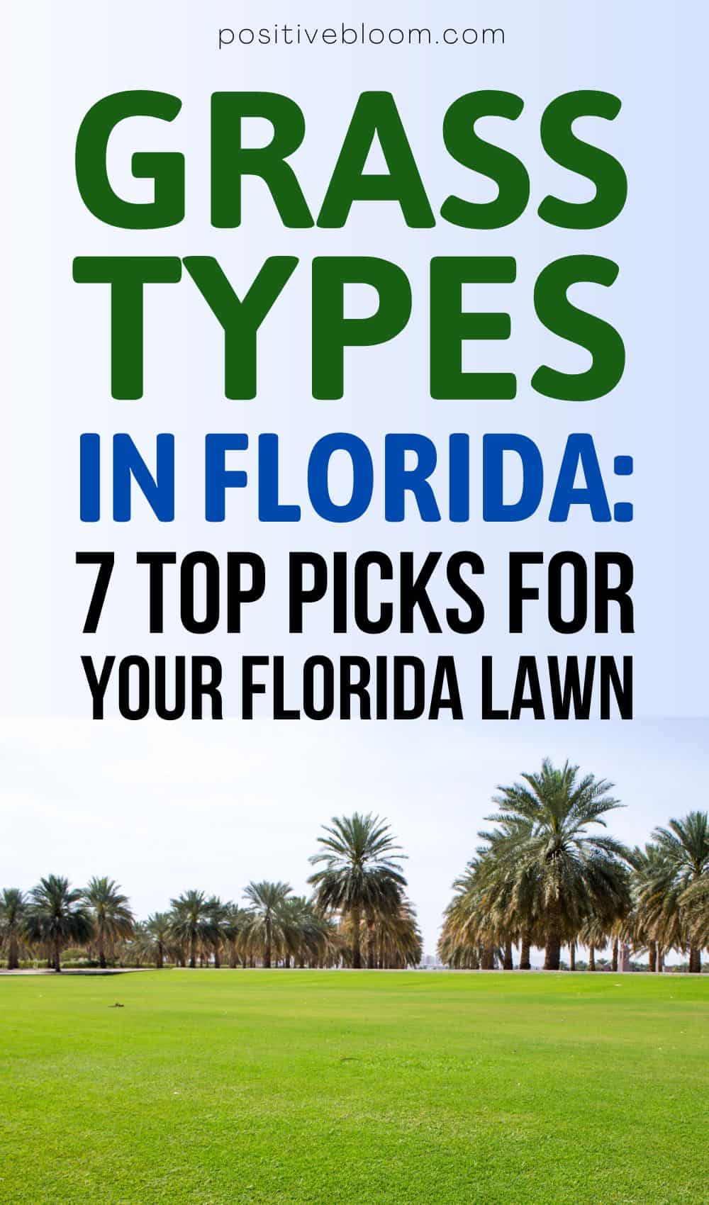 Grass Types In Florida 7 Top Picks For Your Florida Lawn