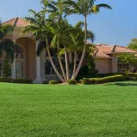house with big Lawn