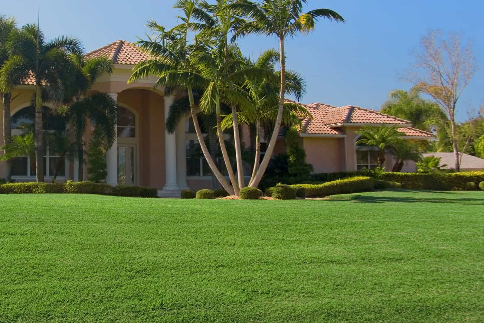 Grass Types In Florida: 7 Top Picks For Your Florida Lawn