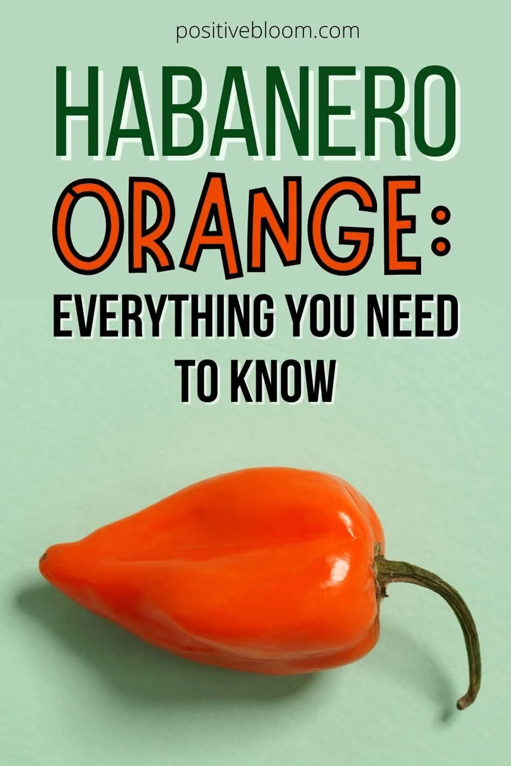 Habanero Orange Everything You Need To Know