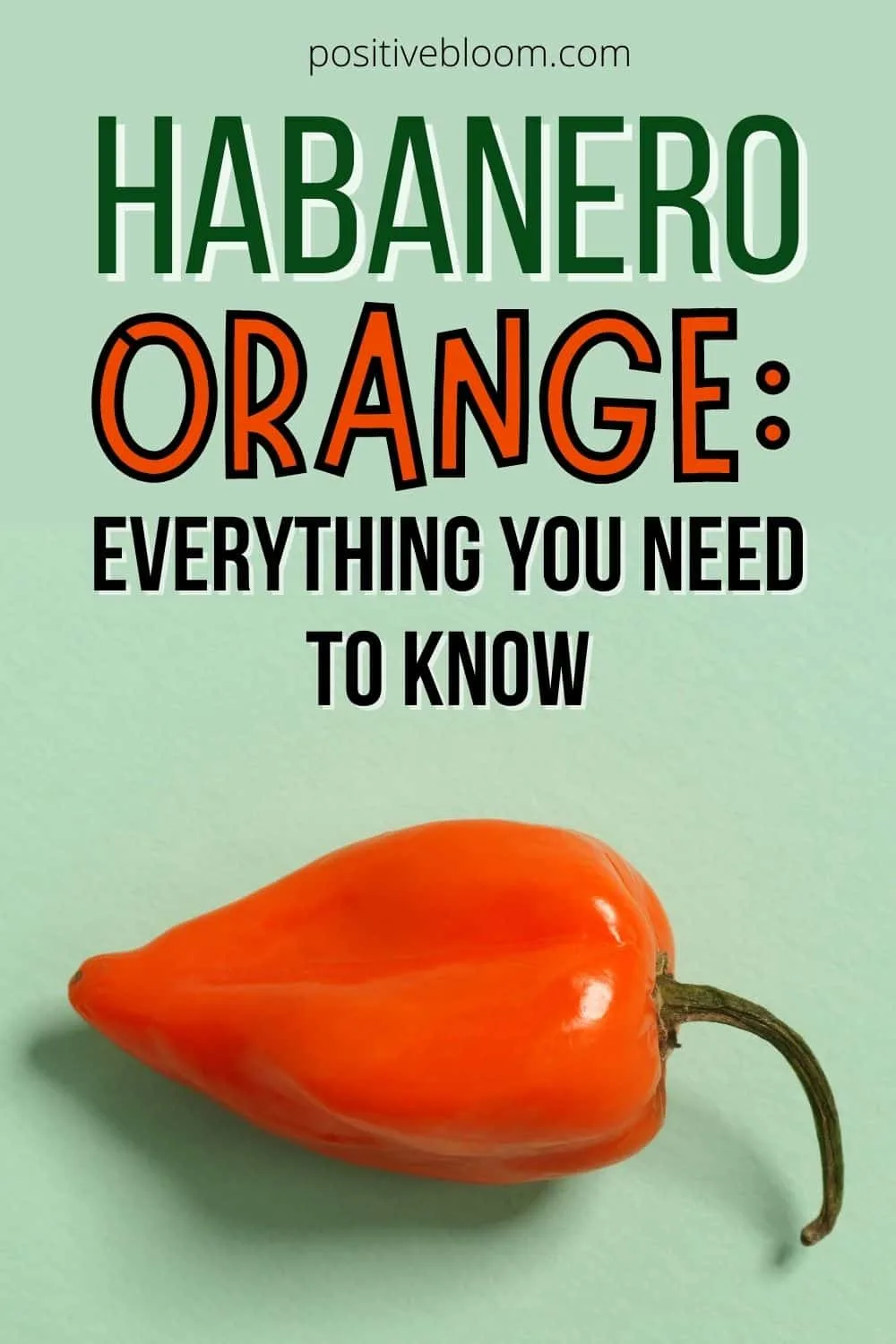 Habanero Orange: Need To Know