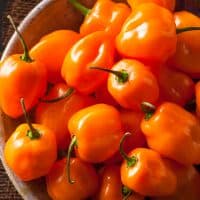 fresh habanero orange peppers in a bowl