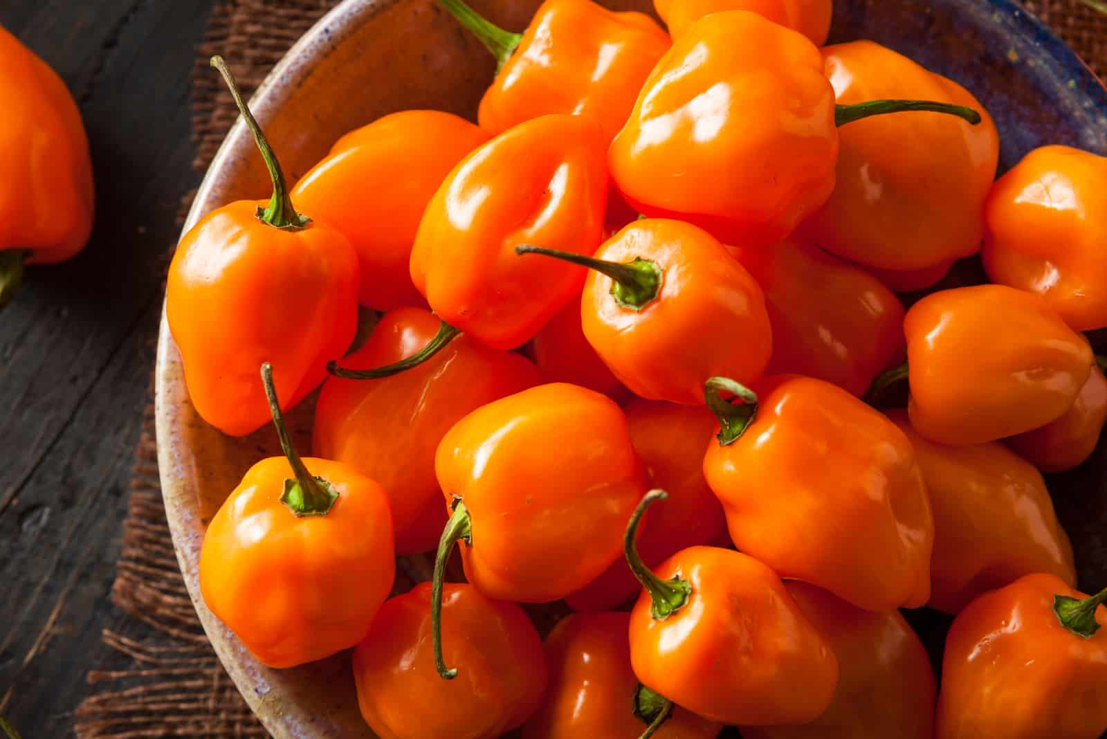 Habanero Orange: Need To Know