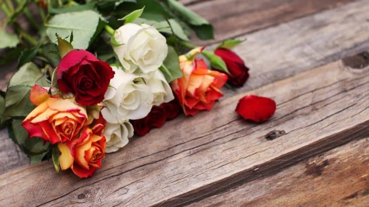 How Long Can Roses Go Without Water: Question Answered
