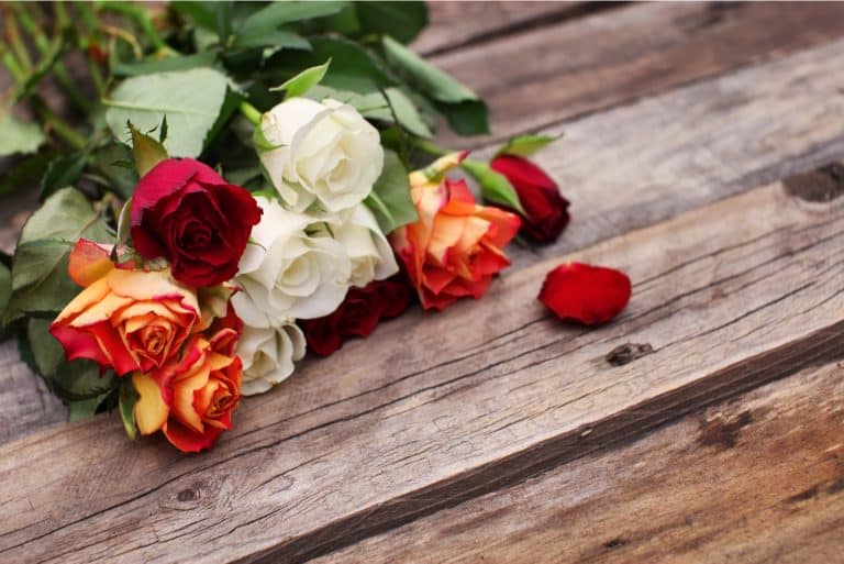 colorful roses on wooden table