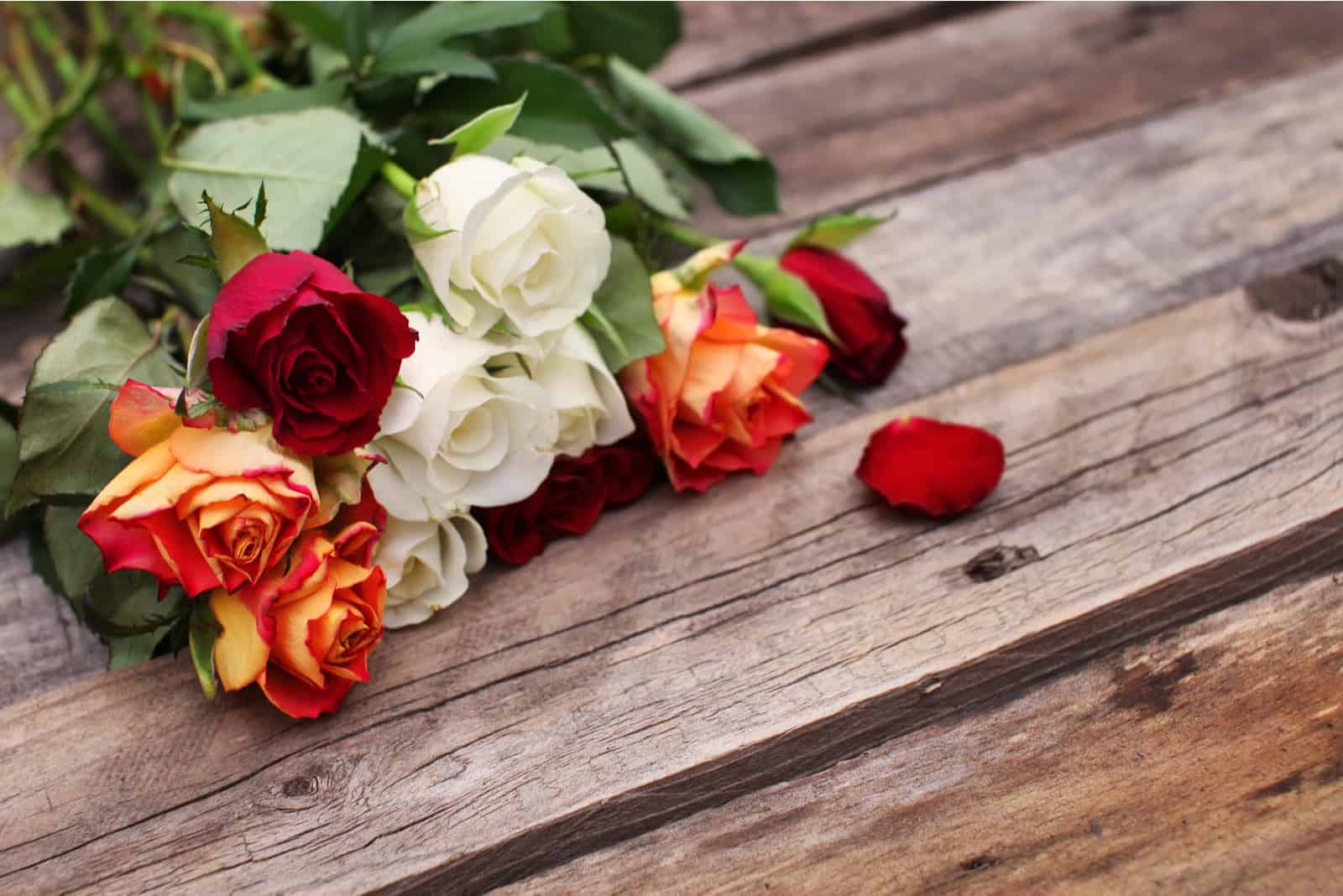 How Long Can Roses Go Without Water: Question Answered