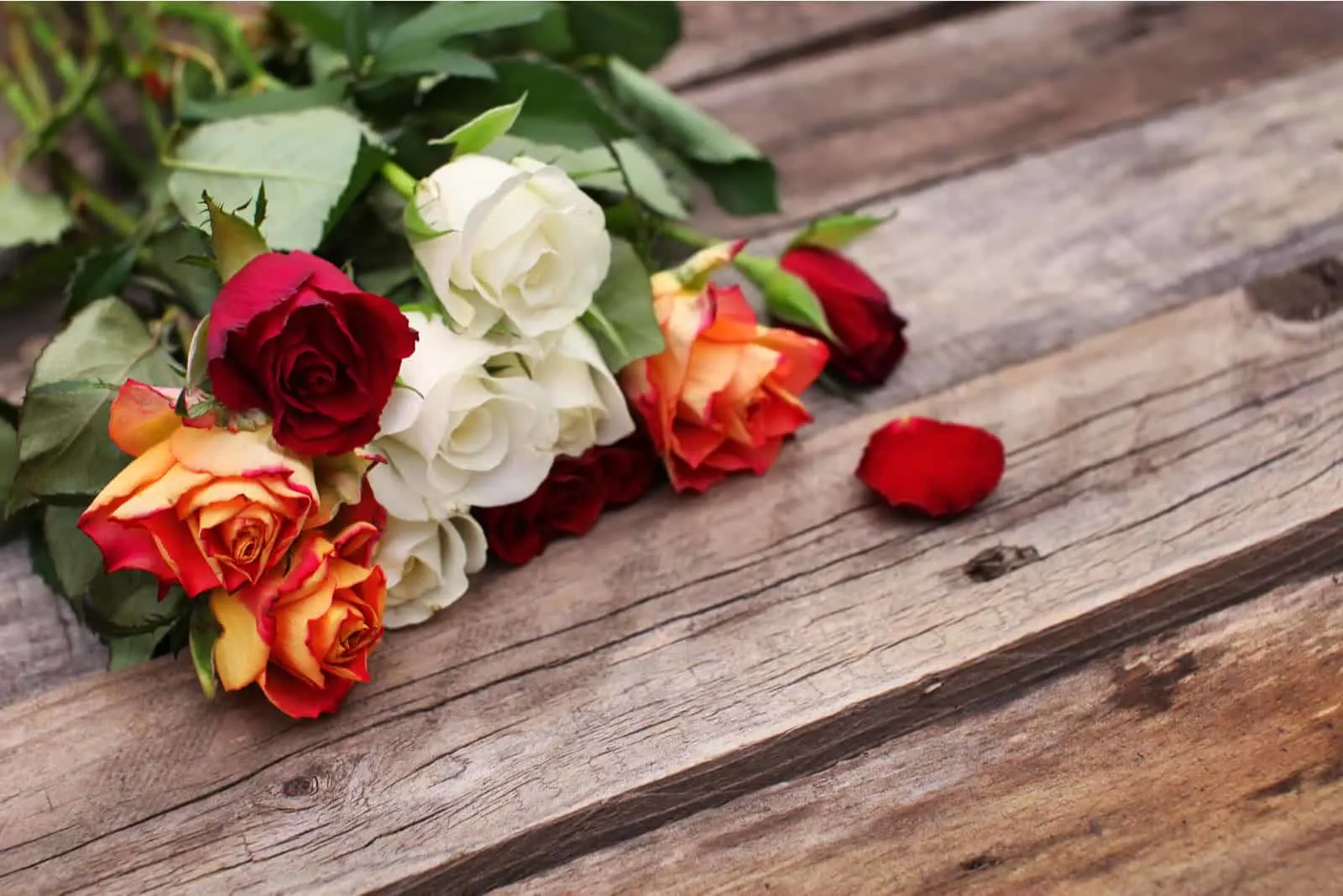 10 Stalks Fresh-Cut Tulip with a LV design paper wrapper (Fresh Flower  Bouquet💐) | Rose Flower | Flower Bouquet | Flower | Flowers | Rose | Roses  