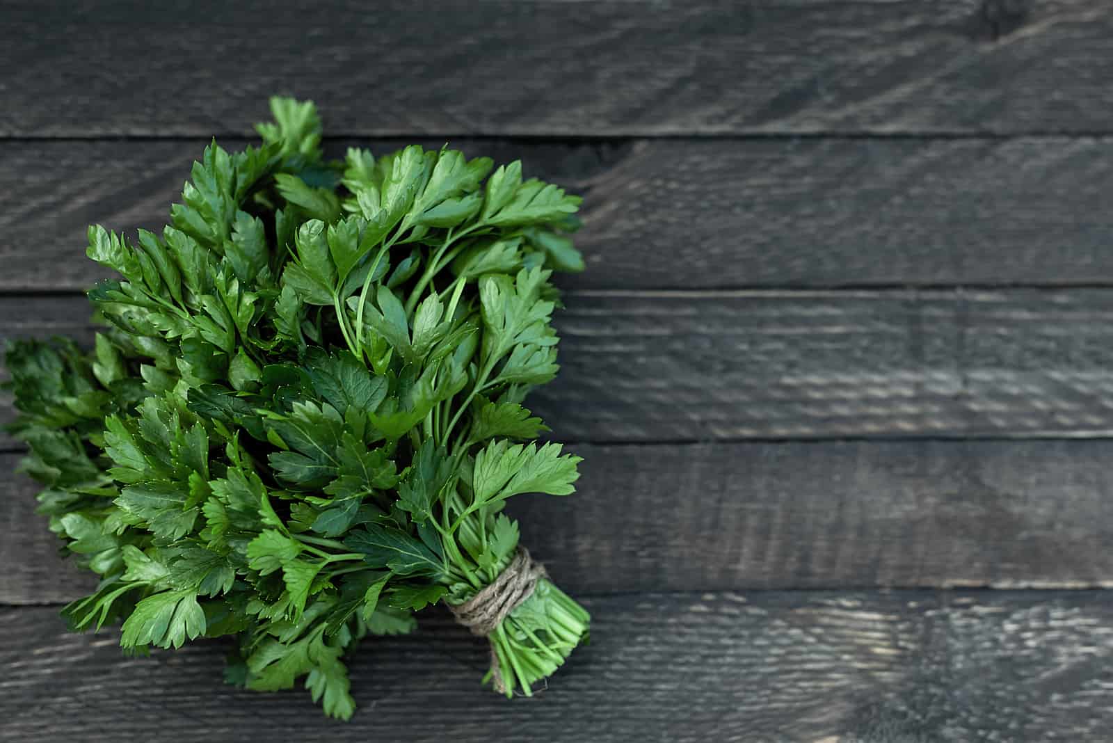 How To Harvest Parsley Without Killing The Plant – 7 Brilliant Tips