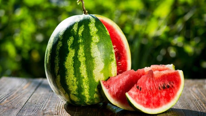 Male And Female Watermelon: Differences and Features