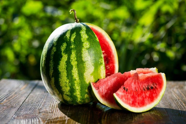 fresh ripe watermelon