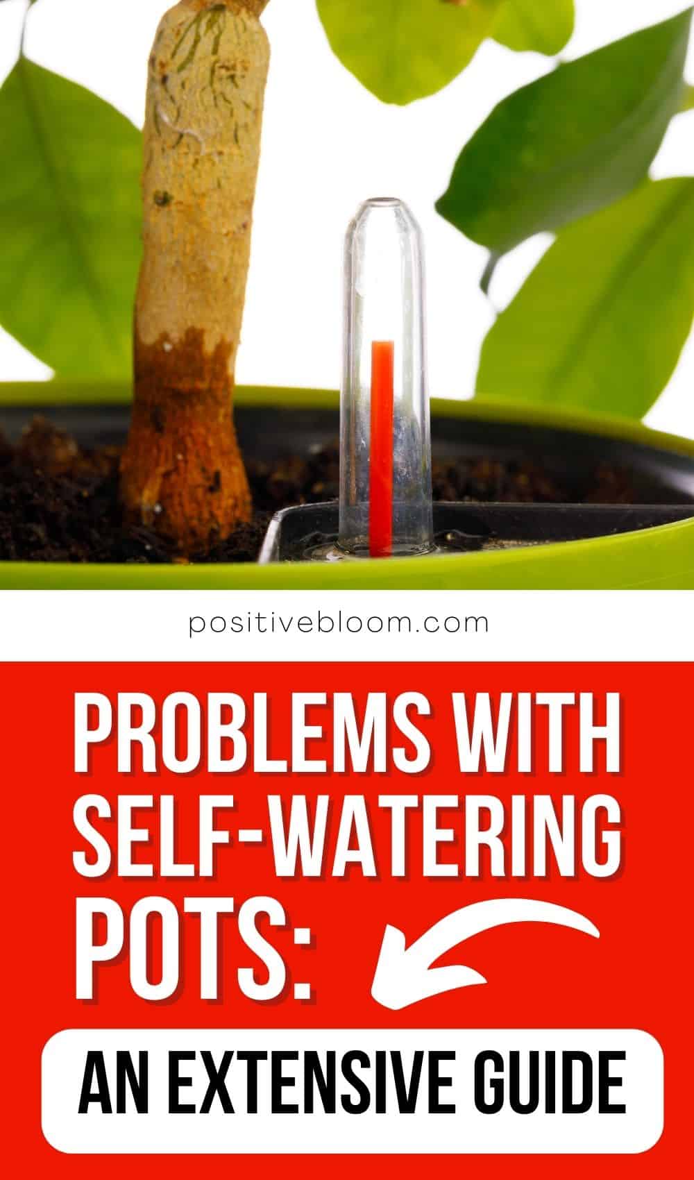 Problems With Self-Watering Pots An Extensive Guide