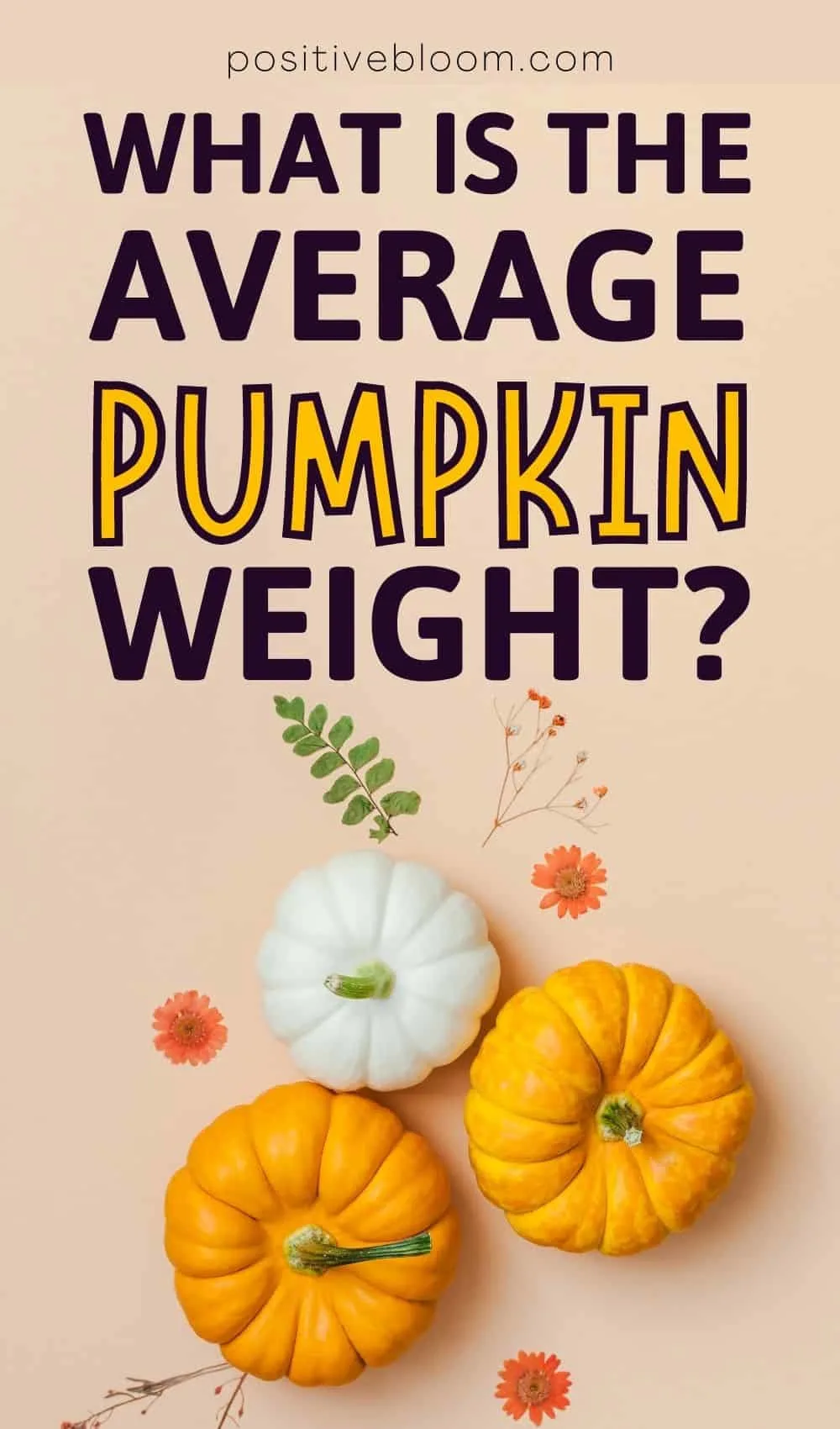 What Is The Average Pumpkin Weight