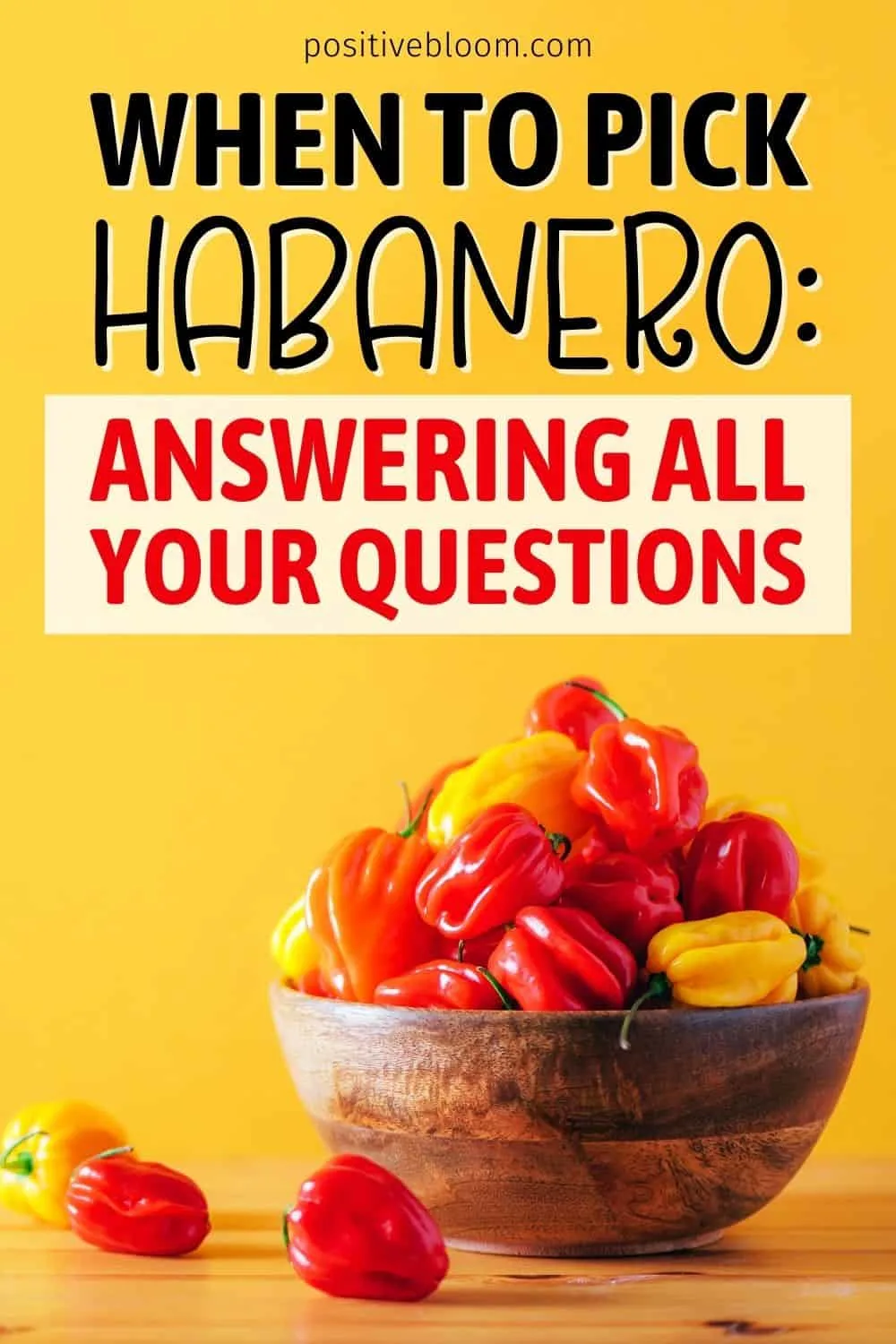 When To Pick Habanero Answering All Your Questions