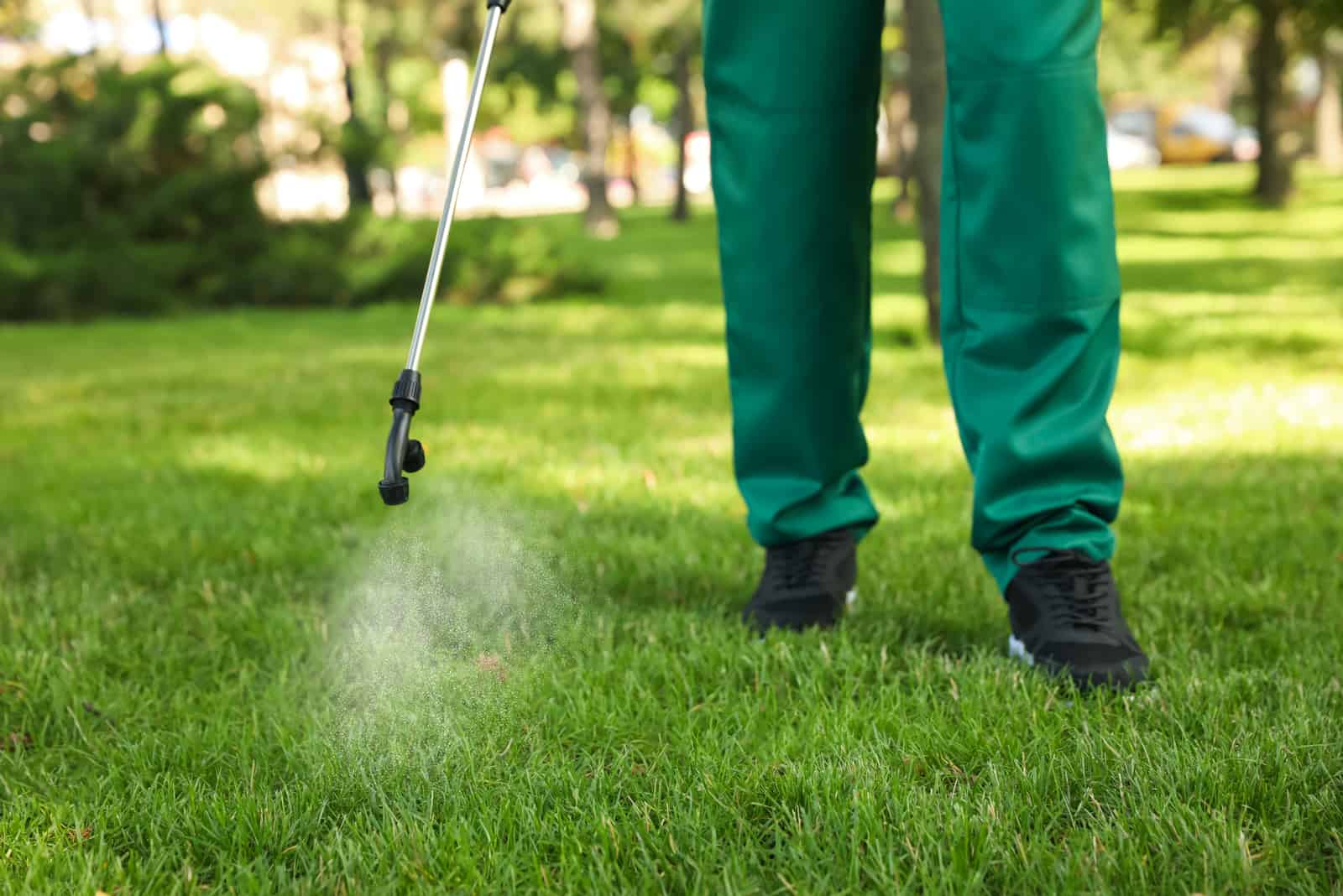 Worker spraying pesticide onto green lawn 