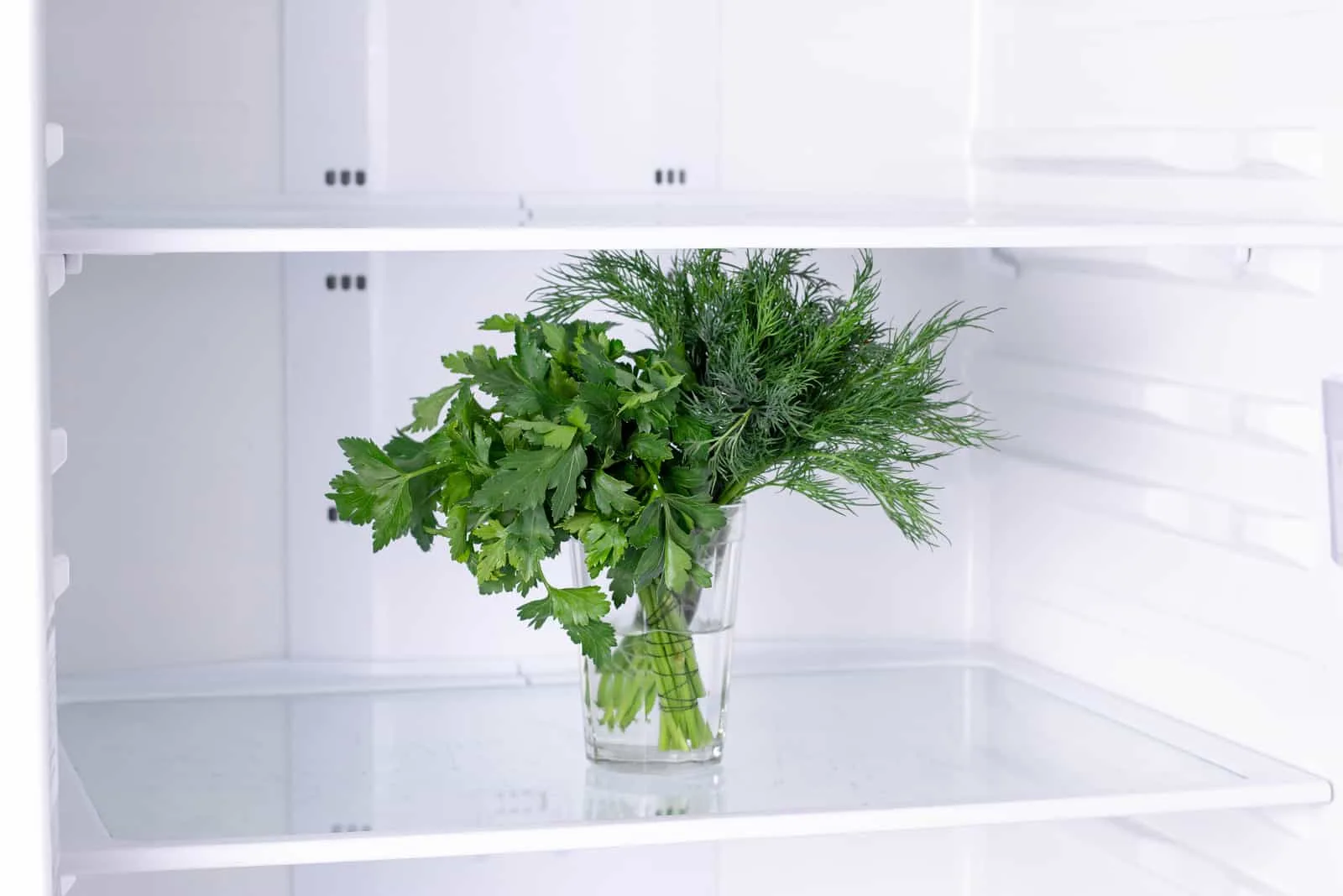 parsley in a refrigerator