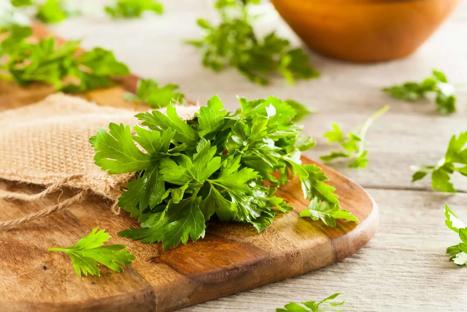 parsley on a table