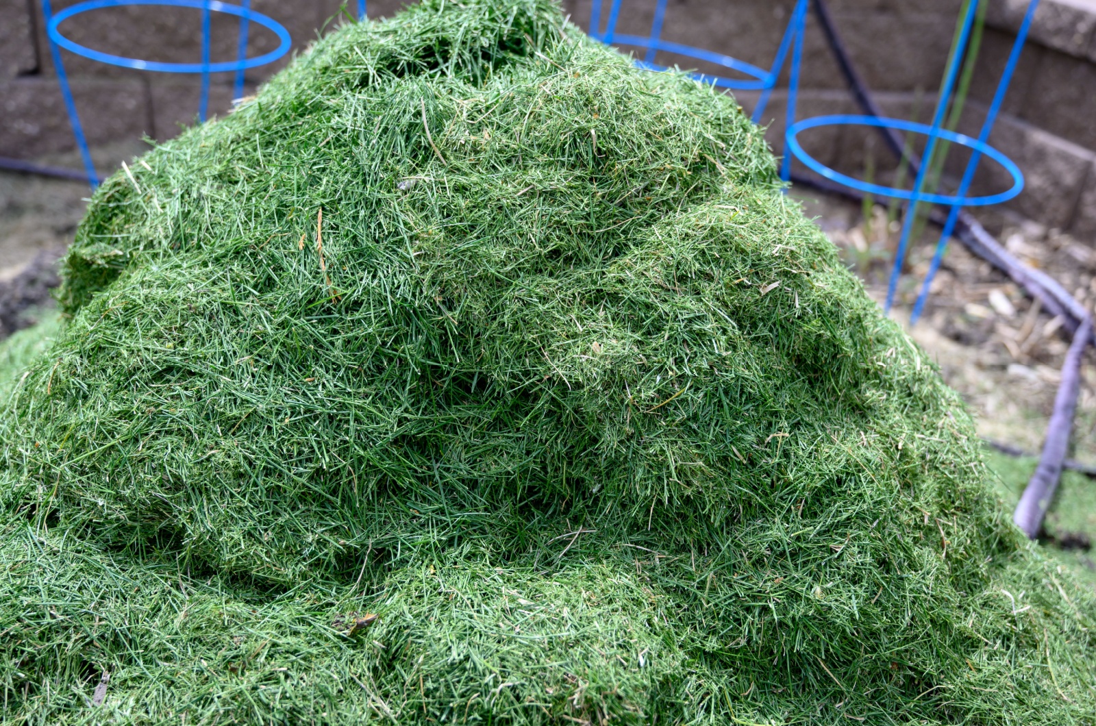 pile of grass clippings