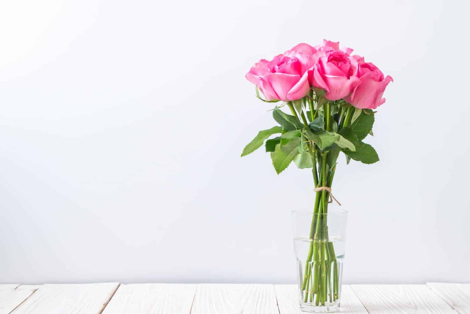 How Long Can Roses Go Without Water Question Answered