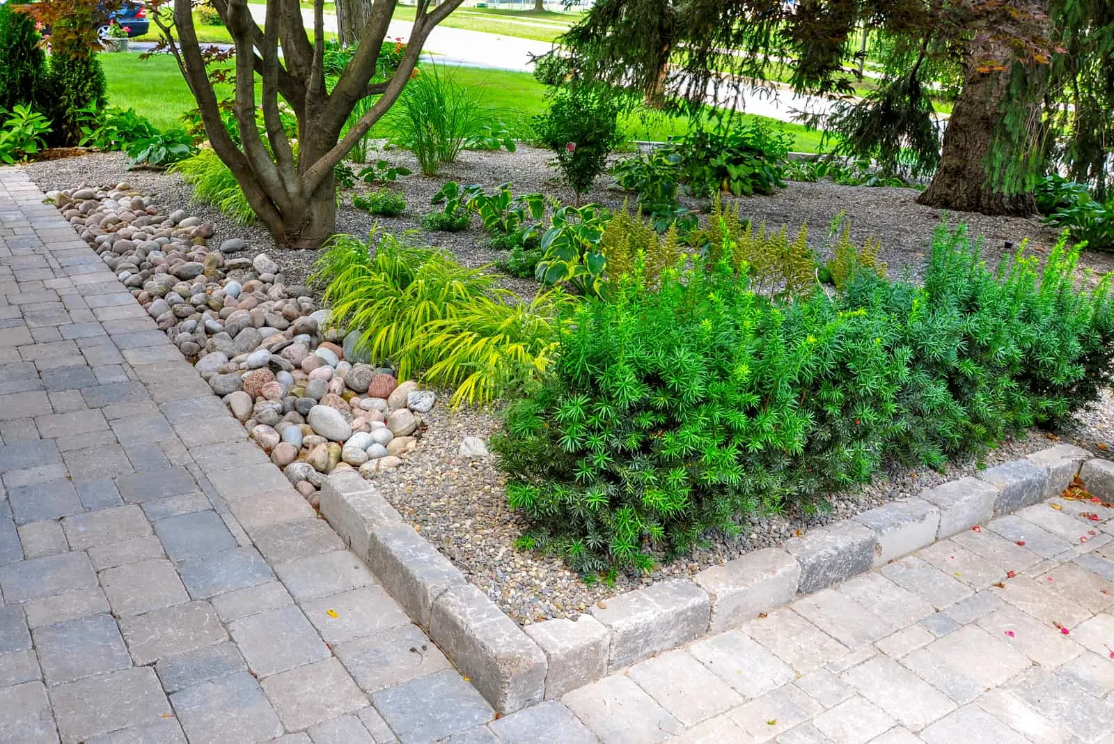 plants and pea gravel with paver edging