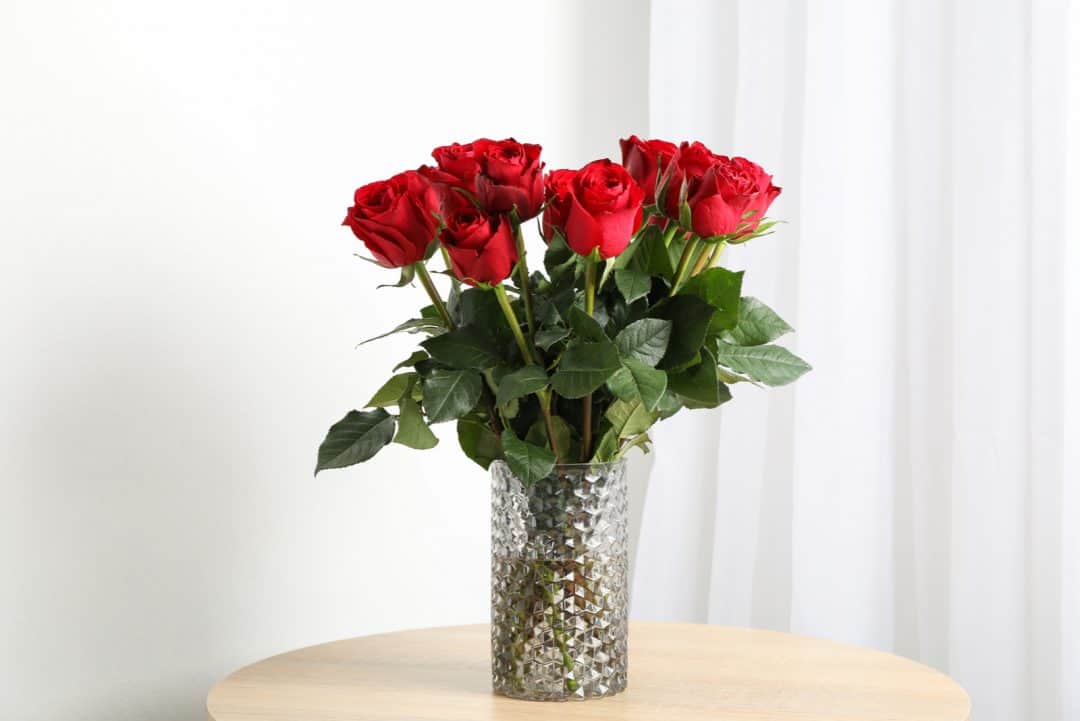 How Long Can Roses Go Without Water Question Answered