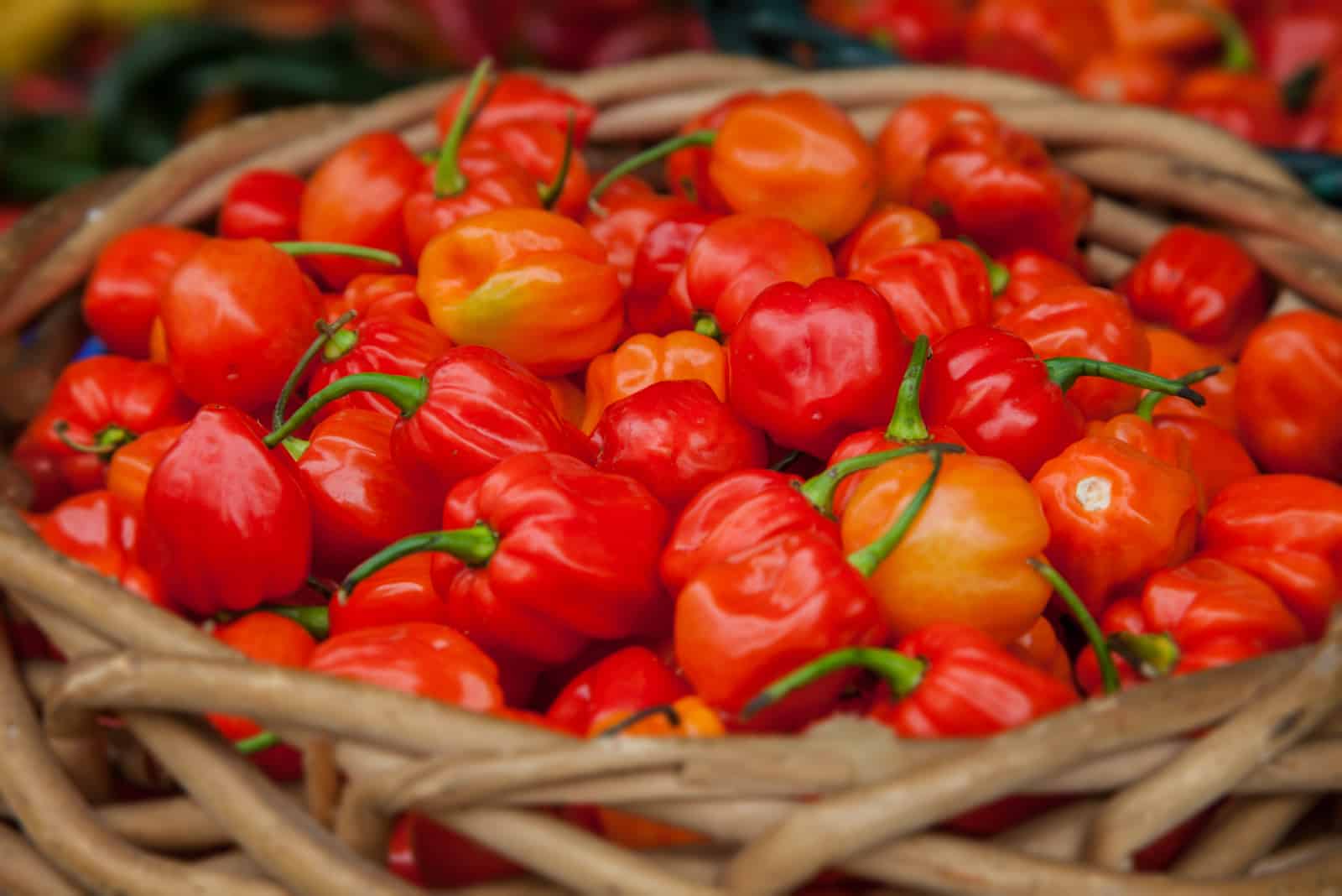 ripe habanero peppers in a basket