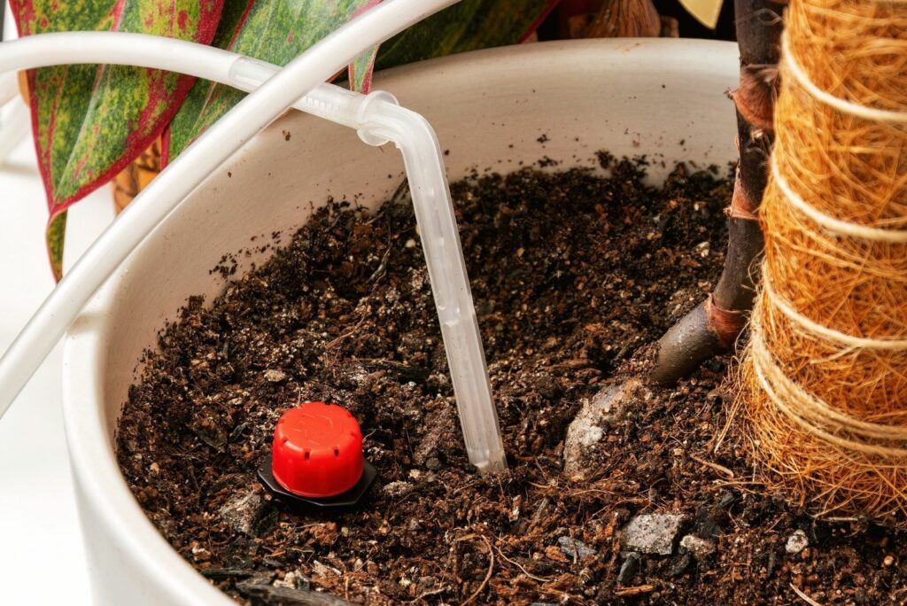 self-watering system inserted into the pot