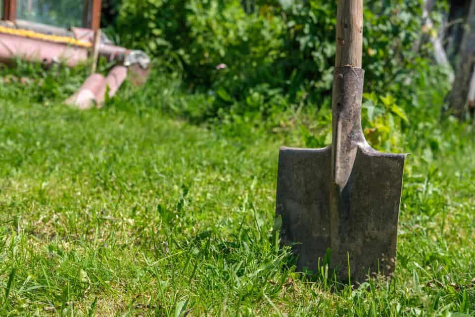 Small Holes In Lawn Overnight The Likely Culprits