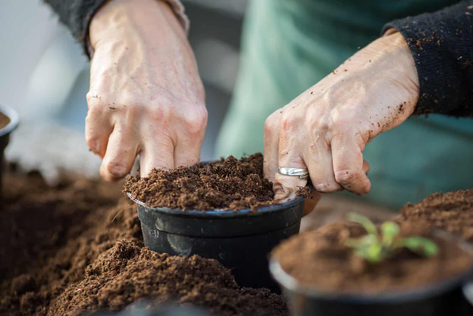 woman putting soil in pot