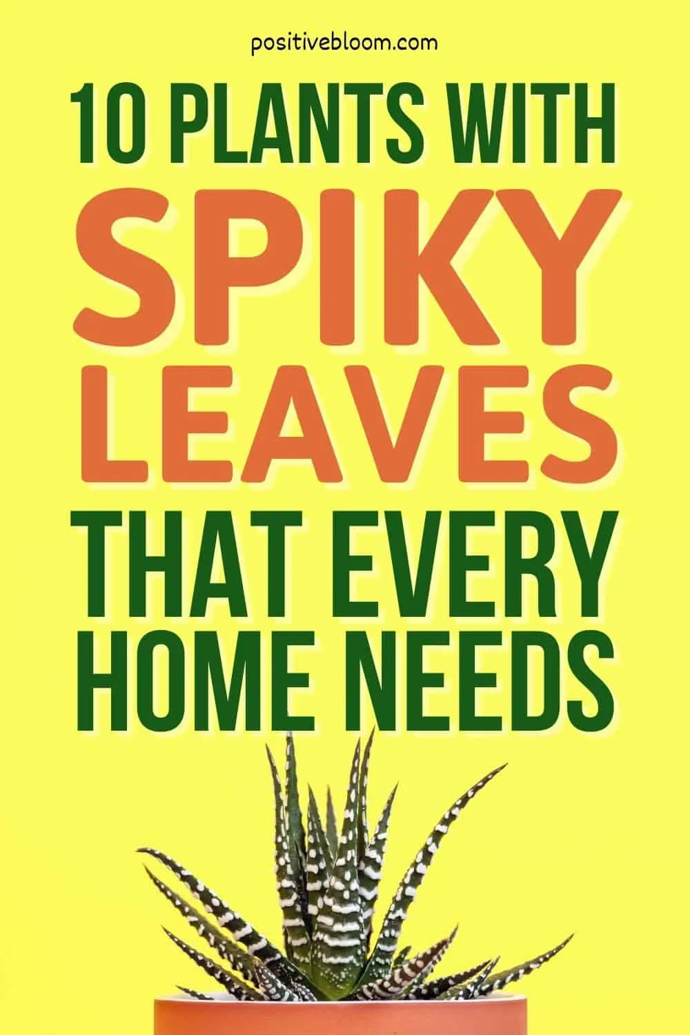 10 Plants With Spiky Leaves That Every Home Needs Pinterest