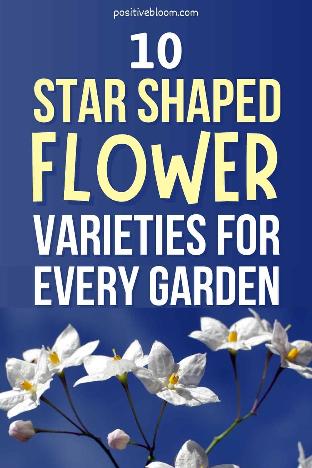 10 Star Shaped Flower Varieties For Every Garden Pinterest