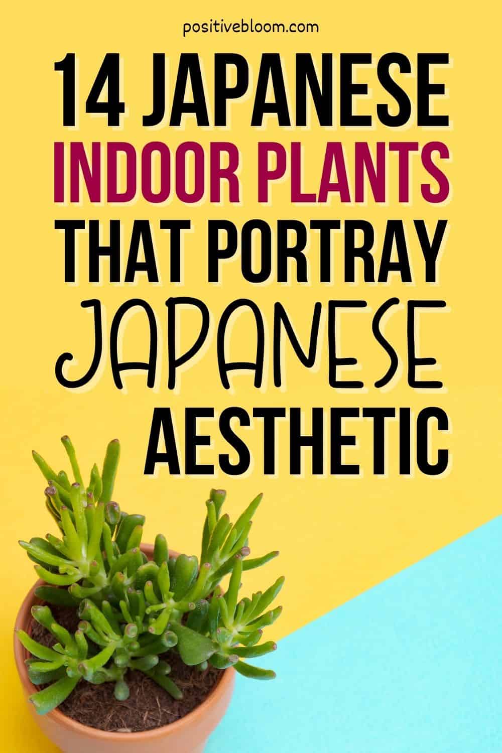 14 Japanese Indoor Plants That Portray Japanese Aesthetic Pinterest