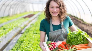 60 Vegetable Garden Quotes That Capture The Joy of Gardening