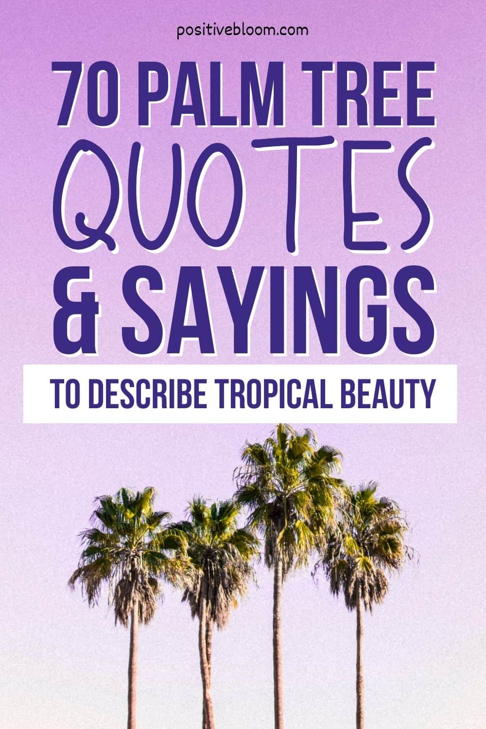 70 Palm Tree Quotes & Sayings To Describe Tropical Beauty Pinterest