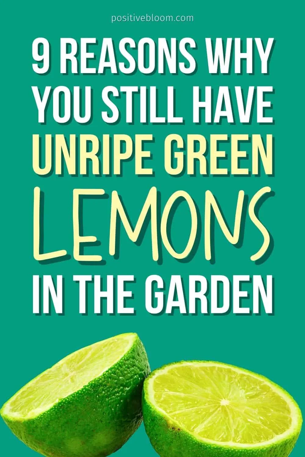 9 Reasons Why You Still Have Unripe Green Lemons In The Garden Pinterest