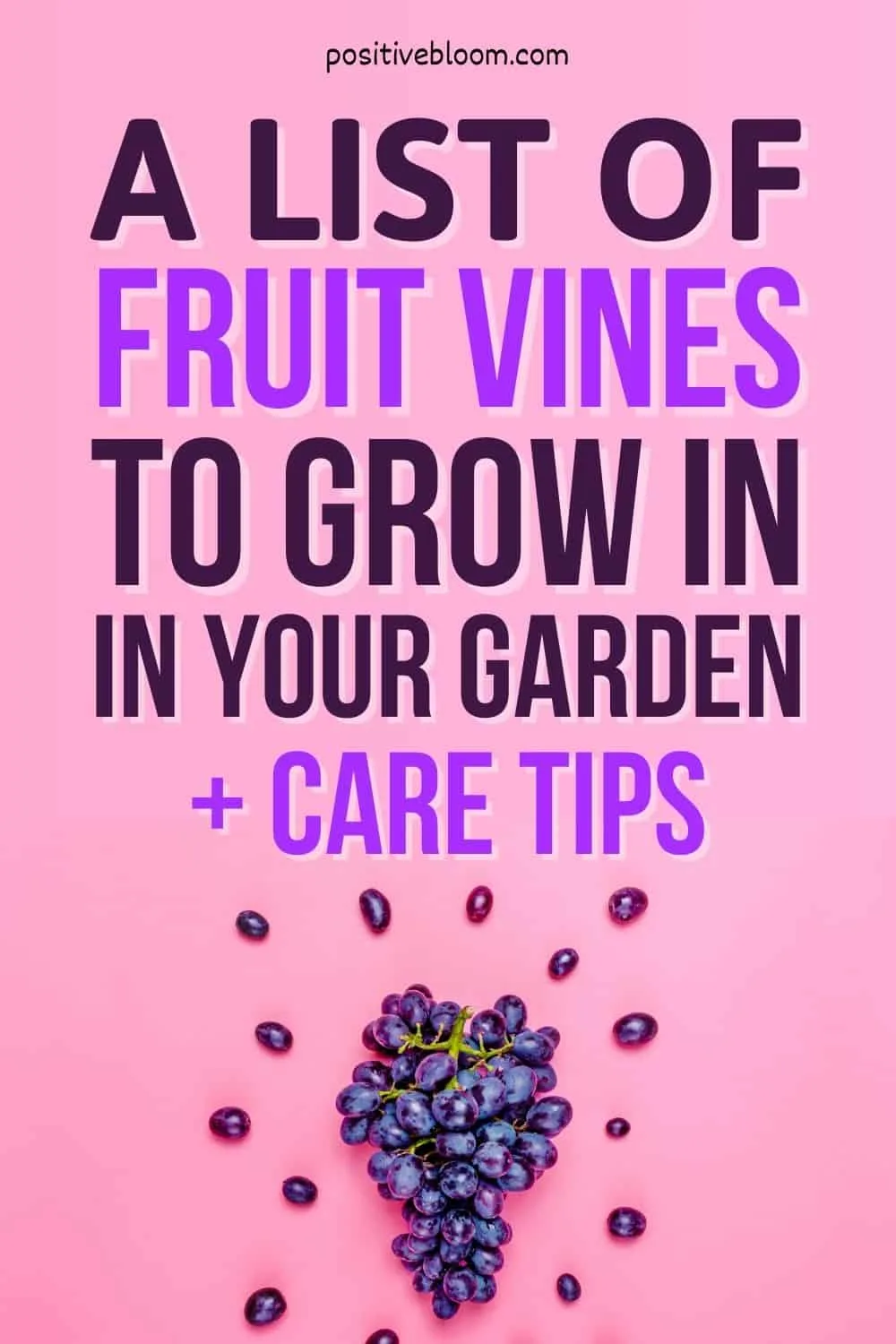 A List Of Fruit Vines To Grow In Your Garden + Care Tips Pinterest