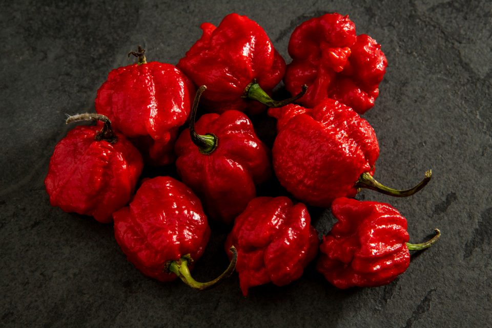 Habanero Pepper Scoville Ratings: Starting From The Hottest