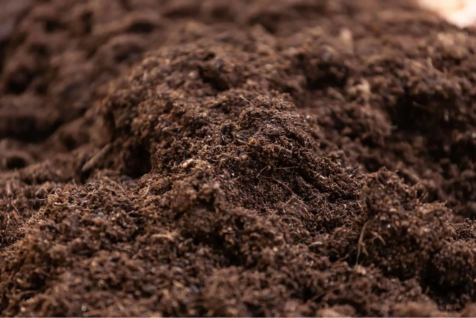 Closeup of soil on a field